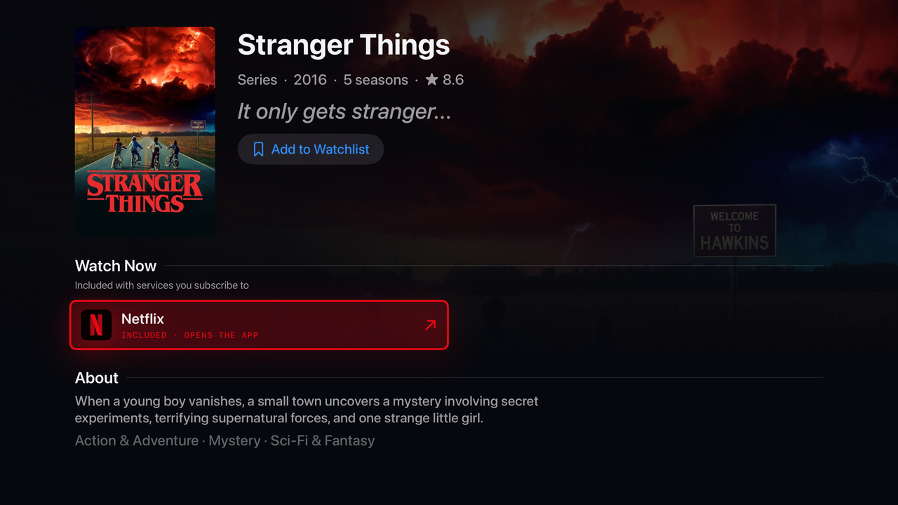 Stranger Things detail screen with Netflix focused in Netflix red